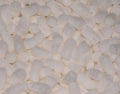Loosefill Biofoam 20cuft